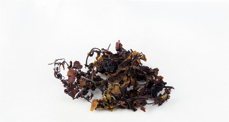 海藻是何种植物？——解析海藻属的分类（探究海藻的特征及分类学原理）