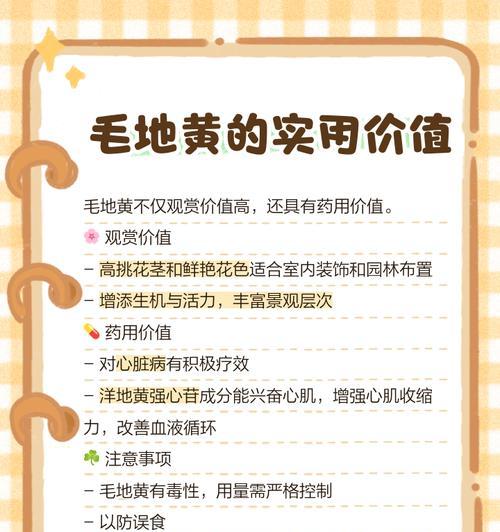 毛地黄的养殖方法与注意事项（做好毛地黄的养殖，走向高产）