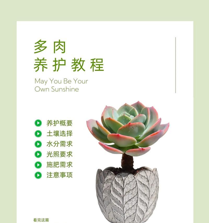 多肉植物奥普琳娜的养殖与注意事项（打造美丽的多肉家园，关注奥普琳娜的细节）