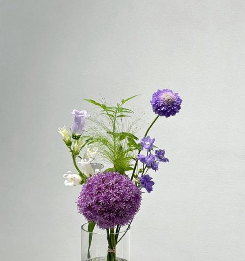挽回女友，送哪种花最合适？（挽回女友，送花的艺术与技巧）