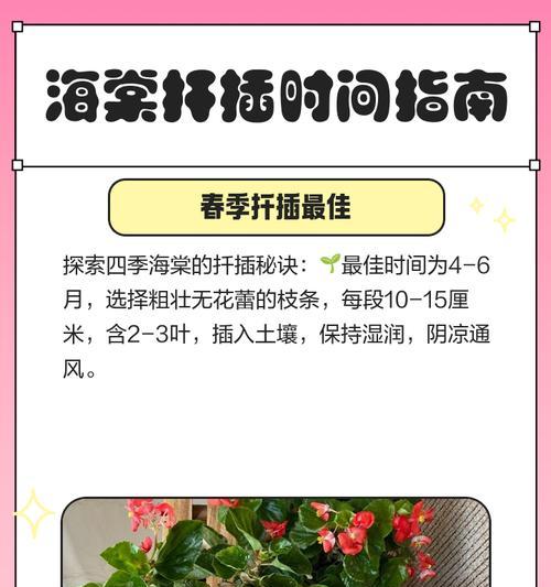 海棠扦插的方法与技巧（从选材到养护，一篇全面的海棠扦插指南）