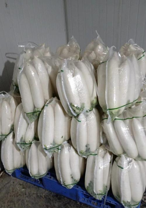 白萝卜亩产量到底能有多少？（亩产量多少斤？白萝卜产量的影响因素有哪些？）