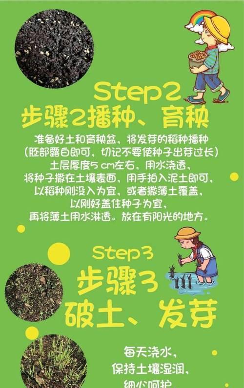 稻谷种子的来源与培育（了解稻谷种子的生长过程与利用方法）