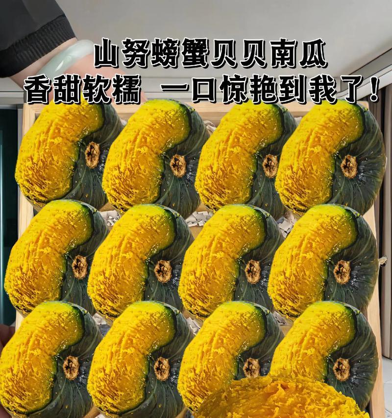 南瓜成熟期多少天？剖析南瓜成熟周期