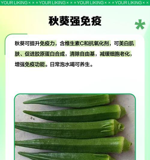 秋葵花的营养和保健功效（从花到果，了解秋葵的多重保健作用）