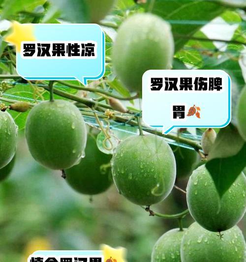 柑橘的性质及其食用注意事项（探究柑橘是热性还是凉性，如何选择和食用？）