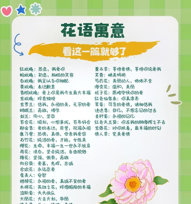 莲花的形态与特征（探秘莲花的美丽之处）