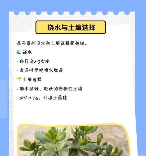 燕子掌开花之谜（养护技巧揭秘，几年开花一次？）