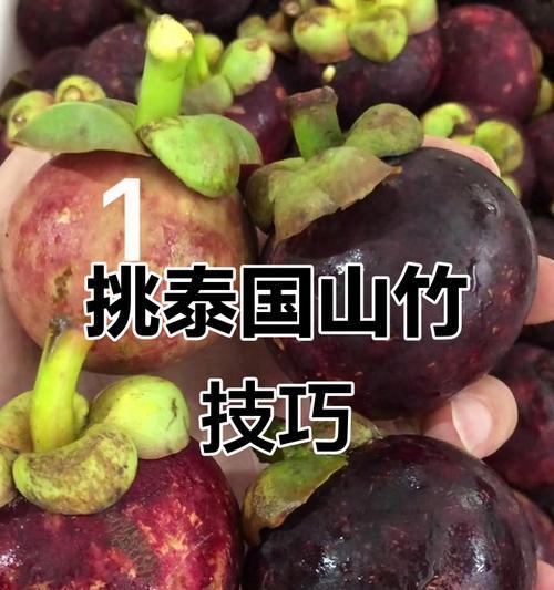 如何挑选好吃的山竹（让你轻松选购美味山竹，满足味蕾体验）