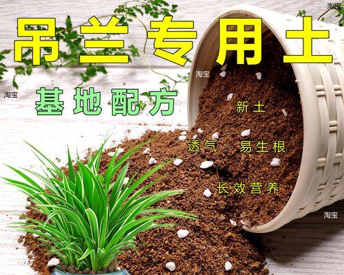 如何选用合适的土壤栽培吊兰（从土壤配方到施肥技巧，轻松打造健康吊兰）