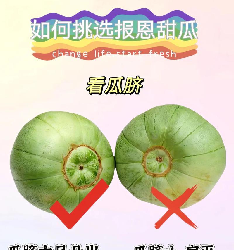 如何留种甜瓜（甜瓜种子的提取与保存）