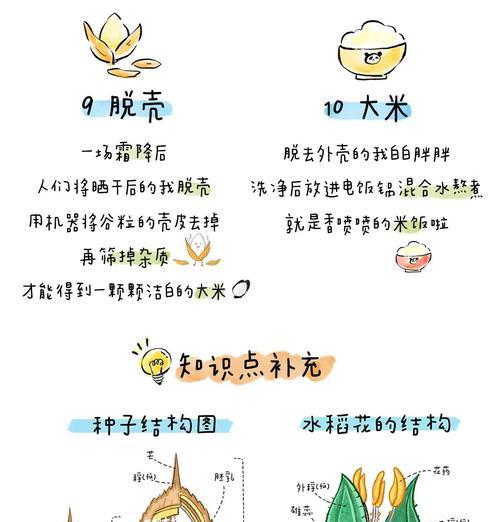 水稻的授粉方式（自花授粉与异花授粉的区别）
