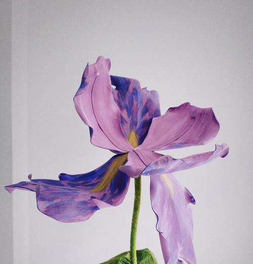 藏红花不开花的原因和解决方法（探究藏红花不开花的原因以及提出解决方法）