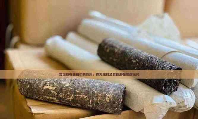 普洱茶渣可以做肥料吗？（环保利用茶渣，变废为宝）
