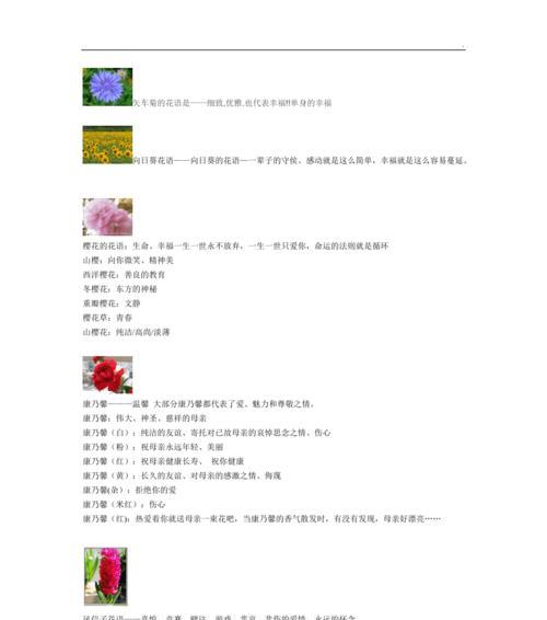以和为主，橄榄枝的花语（橄榄枝花语传递和平的温暖）