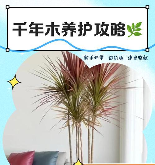 千年木的养殖方法及养护要点（打造健康生态环境，让千年木生长更加茁壮）