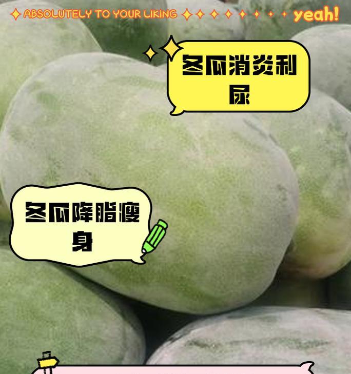 冬瓜成熟时间及采摘技巧（掌握冬瓜成熟期采摘更省力）