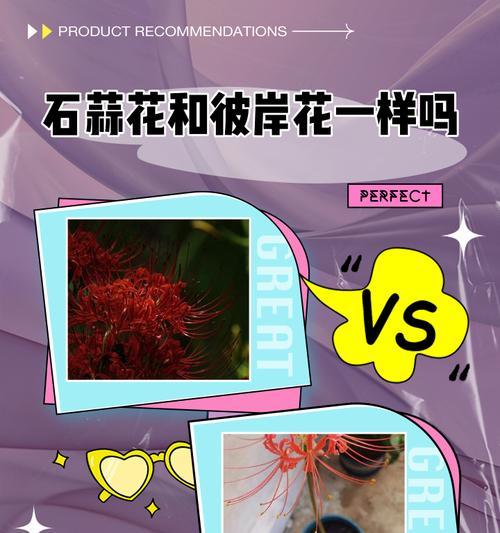 石蒜开花频率解析（了解石蒜开花规律，让园艺更得心应手）