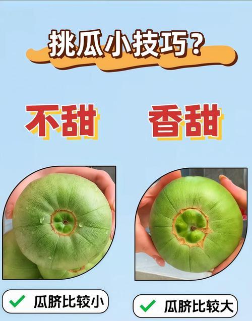 外观篇：色泽鲜艳、纹路清晰是熟甜瓜的标志