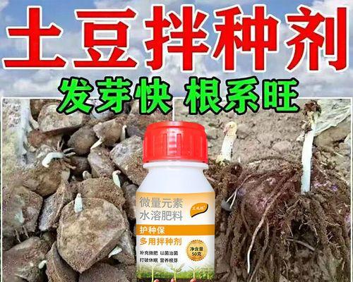 如何选择适合土豆的肥料？（从土壤分析到肥料选择，全面指导土豆栽培技巧）