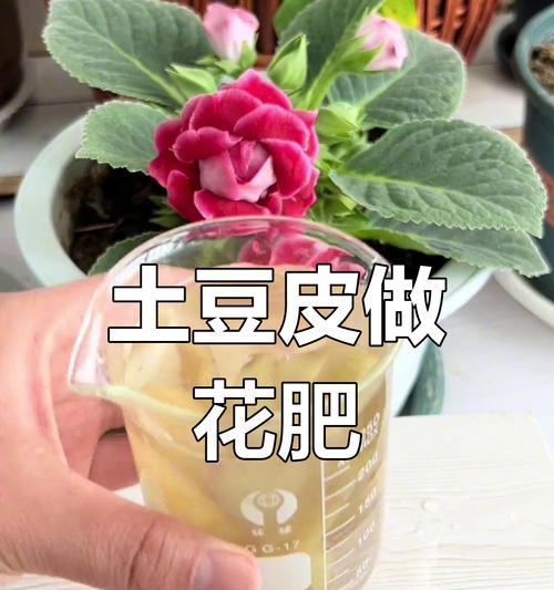 如何选择适合土豆的肥料？（从土壤分析到肥料选择，全面指导土豆栽培技巧）