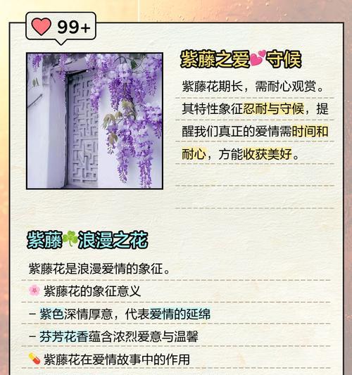 爱情之花（浪漫、温柔、情感、醉人、思念——以什么花的花语代表深情？）