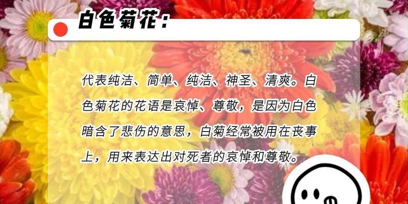 以梗菊的花语与寓意（深入解析以梗菊的寓意及象征意义）