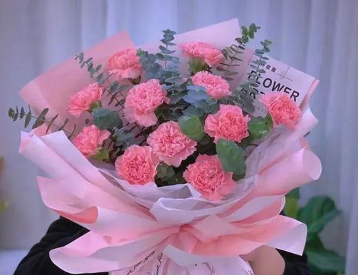多彩康乃馨，花开语意（白色康乃馨的美丽真诚）