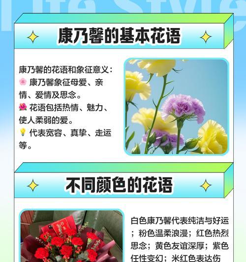 多彩康乃馨，花开语意（白色康乃馨的美丽真诚）