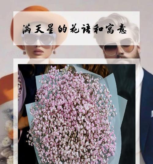 满天星花语——美丽与希望（星光闪烁，心中绽放）