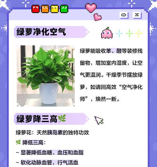 绿萝的养护指南（掌握绿萝养殖的七个关键技巧）