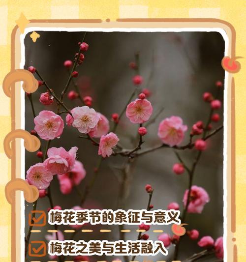梅花的象征意义（探寻梅花的寓意与美学）