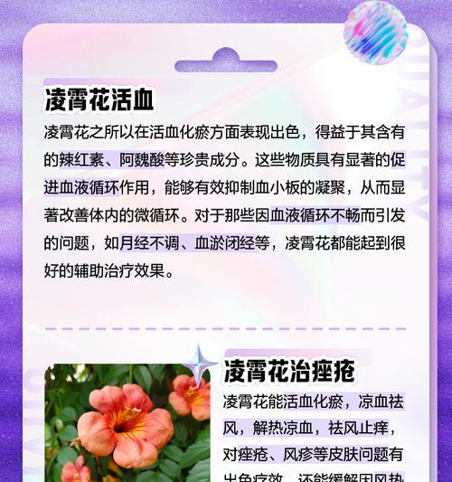 凌霄花风水寓意与作用（探究凌霄花的象征意义与实际运用效果）