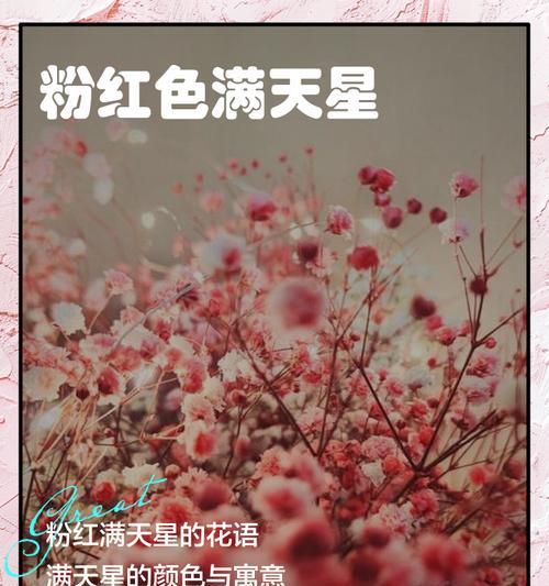满天星盛放，色彩斑斓（揭秘满天星的色彩奥秘）