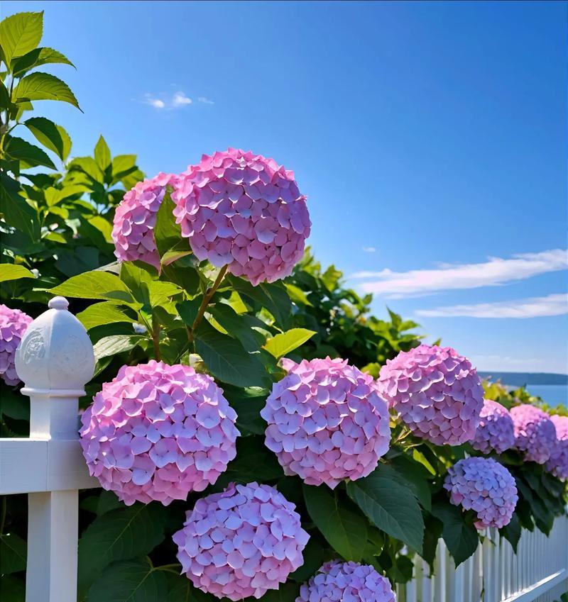 富贵如意花开，吉祥如意盛（以牡丹为象征，传递吉祥如意的花语）