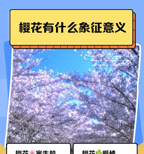 樱花花语之美——花开如梦（探索樱花的深意，传递花语的魅力）