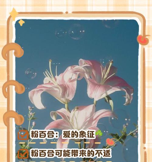 百合花的寓意与象征（纯洁、祝福与希望）
