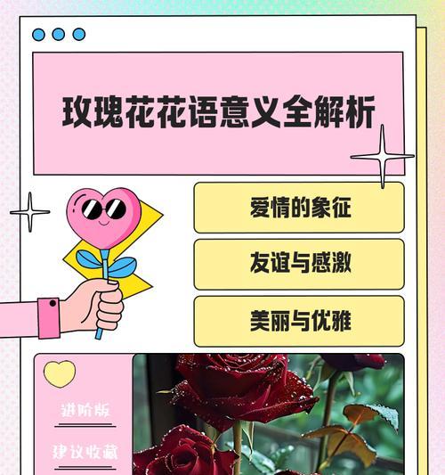 玫瑰的花语和寓意（探寻玫瑰花的隐含意义）