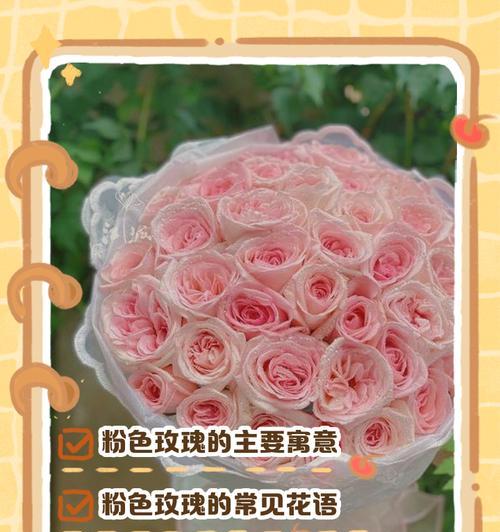 玫瑰的花语和寓意（探寻玫瑰花的隐含意义）