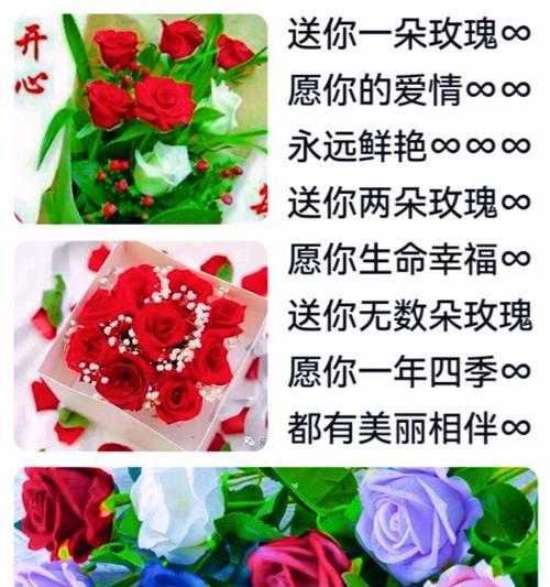 玫瑰花语（探索玫瑰花的世界，解读花语之谜）