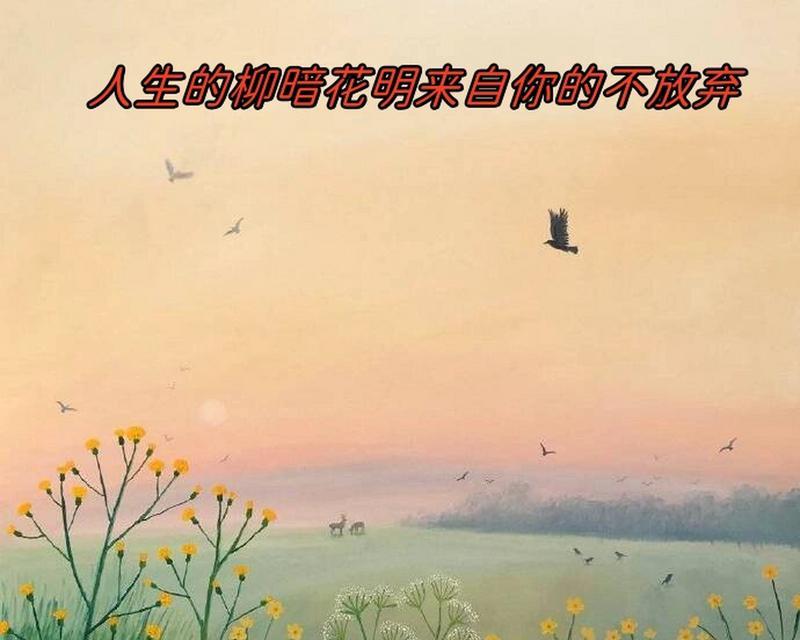 坚韧不拔的花朵（不屈不挠的花朵怎样教会我们坚持）