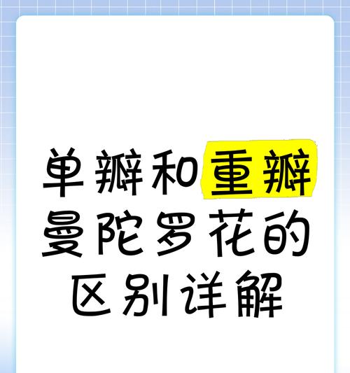 曼陀罗花（探寻曼陀罗花背后的秘密与谎言）
