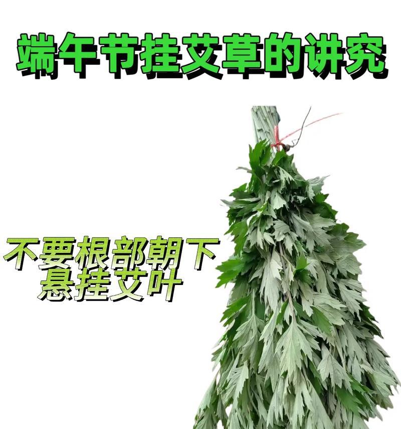 端午节挂艾草的寓意（传承千年的民俗习俗与健康保佑）