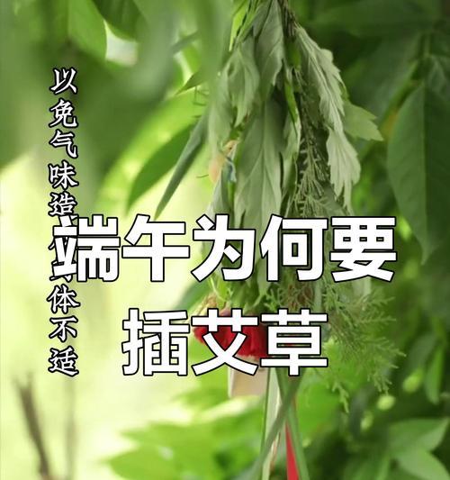 端午节挂艾草的寓意（传承千年的民俗习俗与健康保佑）