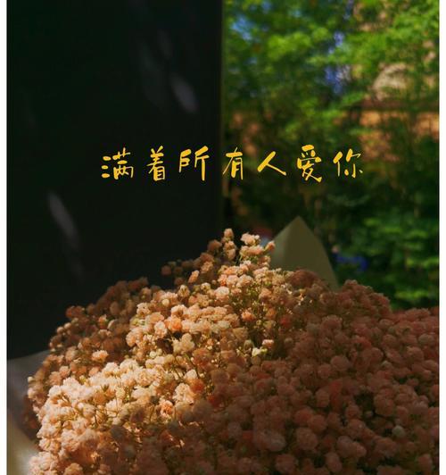满天星花语及象征意义（寓意深远的满天星花，传递着怎样的信息？）