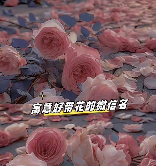 探寻仙客来的深层含义（揭秘仙客来的神秘象征与内涵）