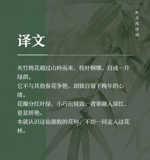 夹竹桃花语与其意义（探寻夹竹桃花语的深层含义）