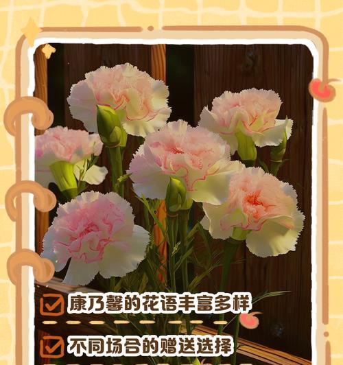 红色康乃馨（红色康乃馨的花语及象征意义）