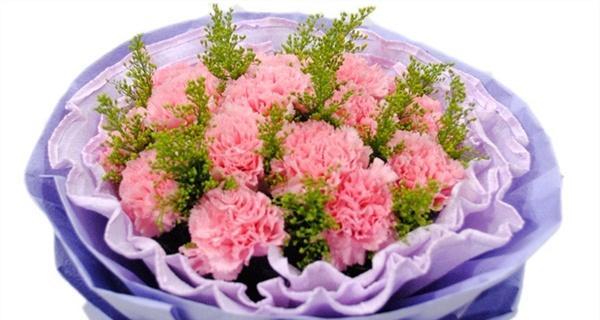红色康乃馨（红色康乃馨的花语及象征意义）