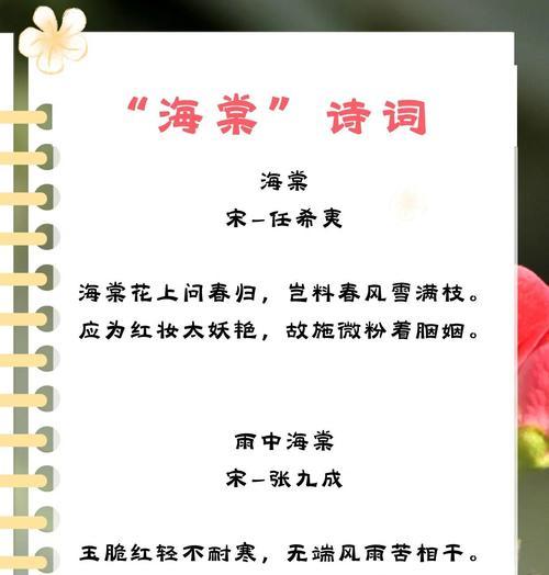 不同颜色海棠花的花语（用不同颜色的海棠花传递情感与寓意）